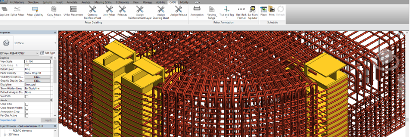 CADS RC3D for Revit